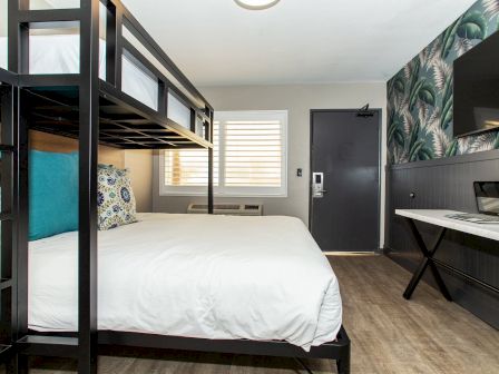 A neatly made bed with bunk beds above, a laptop on a table nearby, tropical wallpaper, and wooden flooring in a bright room.