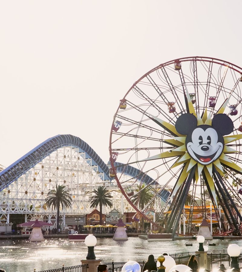 A wide shot of a theme park with a roller coaster, Ferris wheel, and palm trees.
