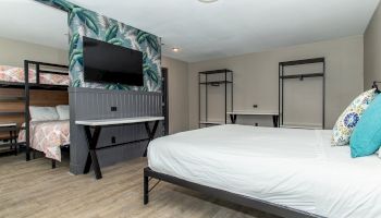 The image shows a modern bedroom with a large bed, bunk beds, a TV, a table, and tropical-themed wallpaper. The room has a minimalist design.